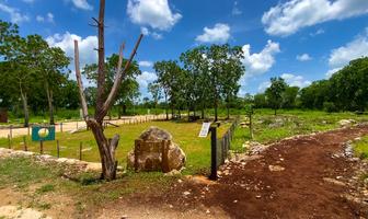 Foto de inmueble en , Col. Motul de Carrillo Puerto Centro C.P. 97430, Motul