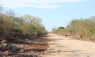 Foto de inmueble en , Col. Muxupip C.P. 97457, Muxupip