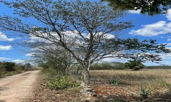 Foto de inmueble en , Col. Opichen C.P. 97813, Opichén