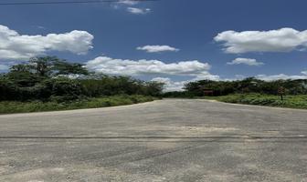 Foto de inmueble en Rancho Santo Domingo, Col. Oxcum C.P. 97393, Umán