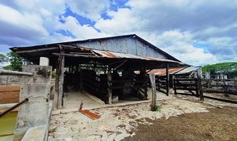 Foto de inmueble en , Col. Panaba C.P. 97610, Panabá