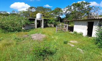 Foto de inmueble en calle 1, Col. Panaba C.P. 97610, Panabá