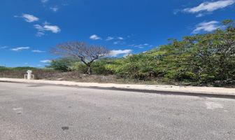 Foto de inmueble en calle 1, Col. Real Montejo C.P. 97302, Mérida