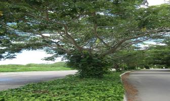 Foto de inmueble en , Col. Residencial Xcanatún C.P. 97302, Mérida