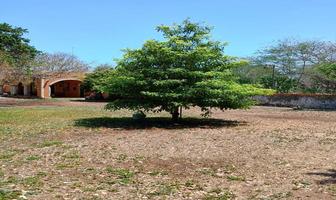 Foto de inmueble en SAMAHIL, Col. Samahil C.P. 97810, Samahil