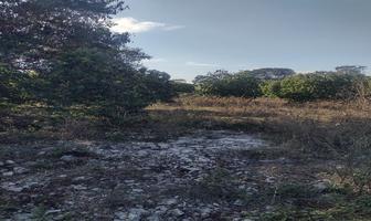 Foto de inmueble en , Col. San Carlos Del Sur C.P. 97285, Mérida