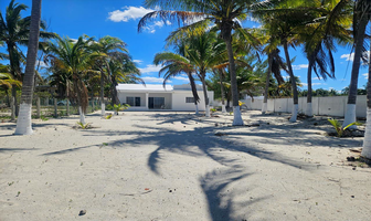 Foto de inmueble en calle 8, Col. San Crisanto C.P. 97424, Sinanché
