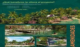 Foto de inmueble en Venta Terrenos Residenciales en Puerto Progreso, Yucatán Desde 133 m2 Hasta 300 m2, Col. San Ignacio C.P. 97334, Progreso