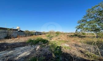 Foto de inmueble en paraiso progreso, Col. San Ignacio C.P. 97334, Progreso