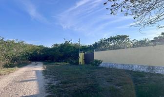 Foto de inmueble en 31A, Col. San Juan Bautista C.P. 97302, Mérida