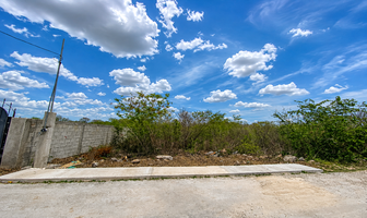 Foto de inmueble en , Col. San Pedro Noh Pat C.P. 97370, Kanasín