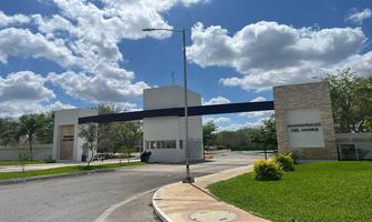 Foto de inmueble en calle 10, Col. Santa Cruz C.P. 97345, Conkal