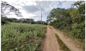Foto de inmueble en calle, Col. Santa Cruz C.P. 97345, Conkal