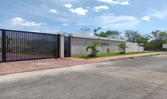 Foto de inmueble en , Col. Santa Gertrudis Copo C.P. 97305, Mérida