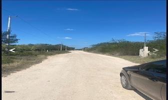 Foto de inmueble en calle 31, Col. Santa María Rosas C.P. 97346, Conkal