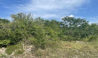 Foto de inmueble en , Col. Santa María Yaxché C.P. 97308, Mérida