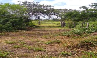 Foto de inmueble en , Col. Seye C.P. 97570, Seyé