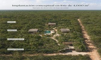 Foto de inmueble en , Col. Seye C.P. 97570, Seyé