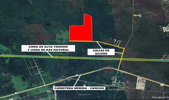 Foto de inmueble en Terreno de 50 ha Km 26 Carretera Mérida - Cancún, Col. Seye C.P. 97570, Seyé