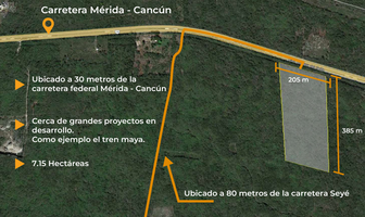Foto de inmueble en calle 1, Col. Seye C.P. 97570, Seyé