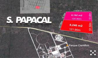Foto de inmueble en Lotes en Sierra Papacal a 550 Metros del Parque Científico, Col. Sierra Papacal C.P. 97302, Mérida
