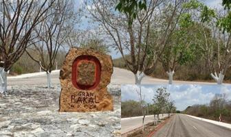 Foto de inmueble en , Col. Sierra Papacal C.P. 97302, Mérida