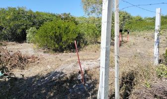 Foto de inmueble en Felipe carrillo Puerto, Col. Sisal C.P. 97356, Hunucmá