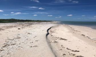 Foto de inmueble en Frente ala playa, Col. Sisal C.P. 97356, Hunucmá