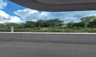 Foto de inmueble en , Col. Sisal C.P. 97356, Hunucmá
