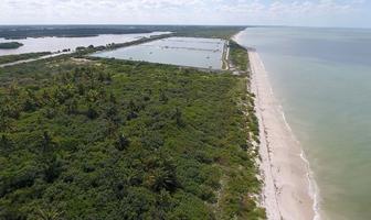 Foto de inmueble en SISAL FRENTE AL MAR, Col. Sisal C.P. 97356, Hunucmá