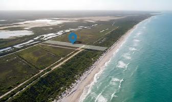Foto de inmueble en Venta Terreno Frente al mar  en Sisal Yucatán, Col. Sisal C.P. 97356, Hunucmá