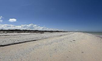 Foto de inmueble en frente a la playa, Col. Sisal C.P. 97784, Valladolid