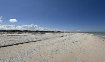 Foto de inmueble en frente a la playa, Col. Sisal C.P. 97784, Valladolid