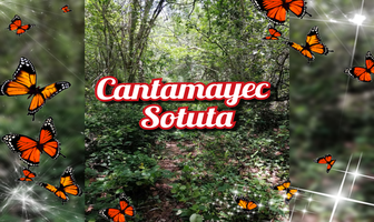 Foto de inmueble en Merida, Col. Sotuta C.P. 97690, Sotuta