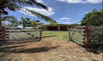 Foto de inmueble en Venta de Rancho en Suma Yucatan, Col. Suma C.P. 97527, Suma