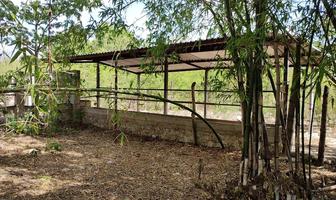 Foto de inmueble en XJ76+57, Col. Tahcabo C.P. 97746, Calotmul