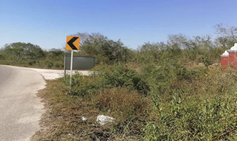 Foto de inmueble en calle ., Col. Tahdzibichén C.P. 97315, Mérida