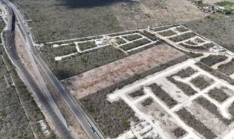 Foto de inmueble en TERRENO EN VENTA A PIE DE CARRETERA MÉRIDA PROGRESO KM 20, Col. Tamanché C.P. 97304, Mérida