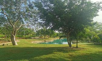 Foto de inmueble en cascada, Col. Tamanché C.P. 97304, Mérida