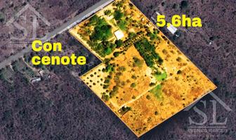Foto de inmueble en Quinta Yaxilku con Cenote en Venta, 5.6 Hectareas en Mococha Yucatán, Col. Tekat C.P. 97456, Mocochá