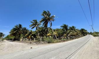 Foto de inmueble en , Col. Telchac Puerto C.P. 97407, Telchac Puerto