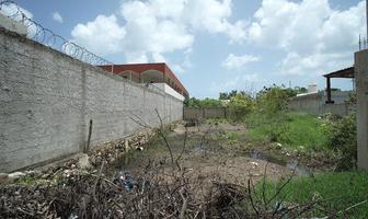 Foto de inmueble en , Col. Telchac Puerto C.P. 97407, Telchac Puerto