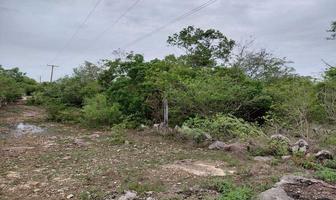 Foto de inmueble en calle 28, Col. Telchaquillo C.P. 97824, Tecoh