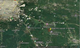 Foto de inmueble en Tablaje 2631, acanceh, Yuc., Col. Tepich C.P. 97382, Acanceh