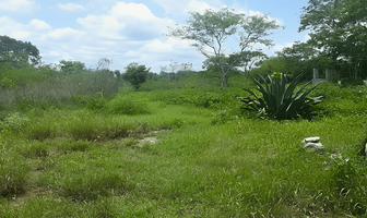 Foto de inmueble en , Col. Tetiz C.P. 97364, Tetiz