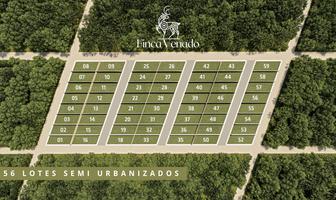 Foto de inmueble en Terrenos EN Venta EN Baca Yucatan, Col. Tixkuncheil C.P. 97452, Baca
