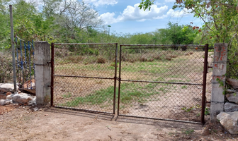 Foto de inmueble en , Col. Tixpehual C.P. 97386, Tixpéhual