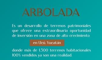 Foto de inmueble en calle 0, Col. Ucu C.P. 97357, Ucú