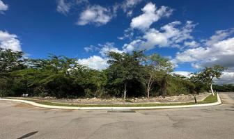 Foto de inmueble en Km. 15.5, Carr. Mérida - Progreso, Col. Universidad del Mayab C.P. 97308, Mérida
