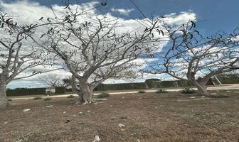 Foto de inmueble en Carretera Mérida Progreso, Col. Xcanatún C.P. 97302, Mérida